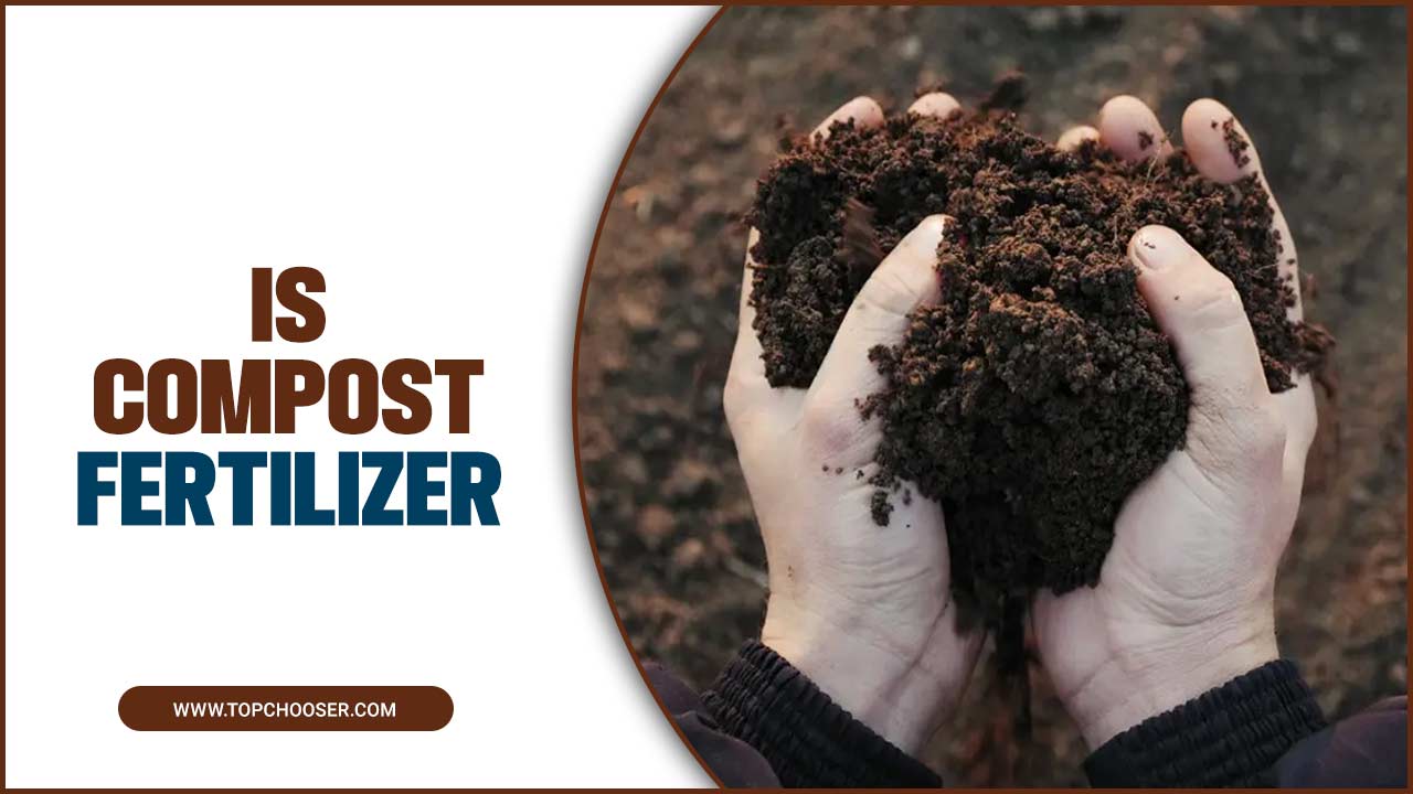 Is Compost Fertilizer