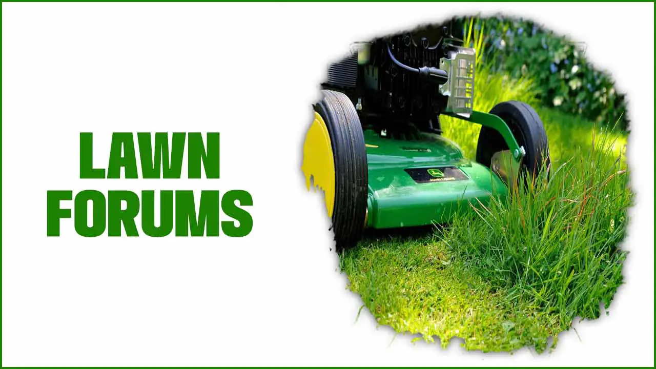 lawn forums