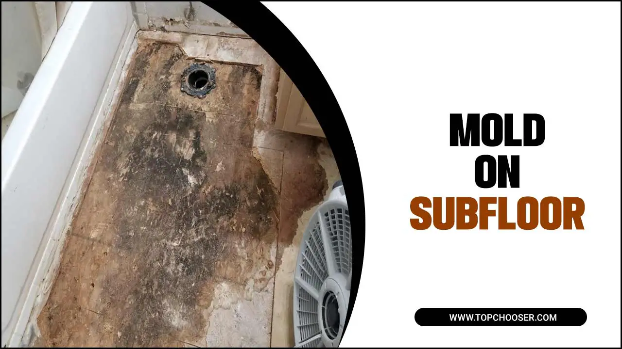 Mold On Subfloor