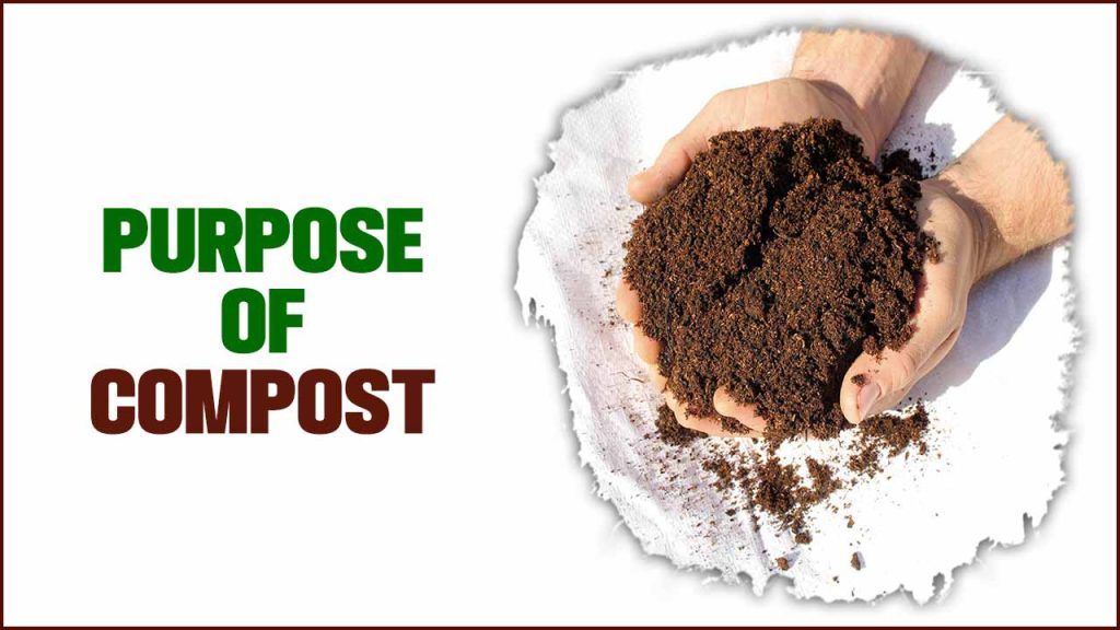 Purpose Of Compost