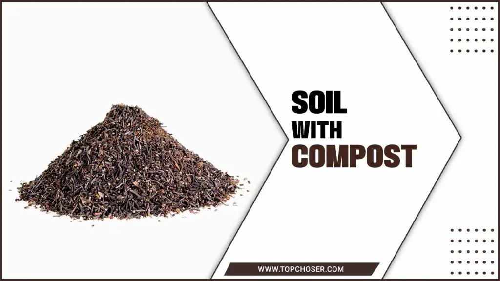 Soil With Compost