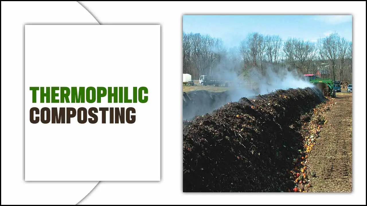 Thermophilic Composting