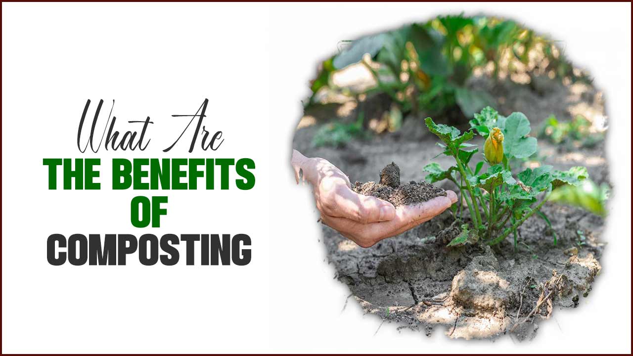 What Are The Benefits Of Composting