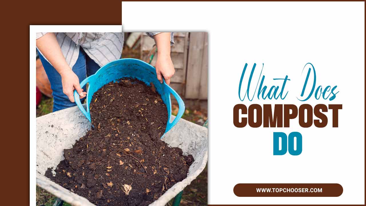 What Does Compost Do