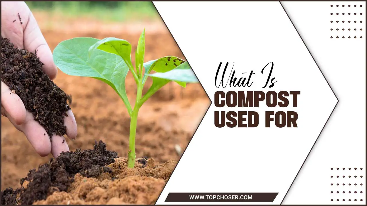 What Is Compost Used For