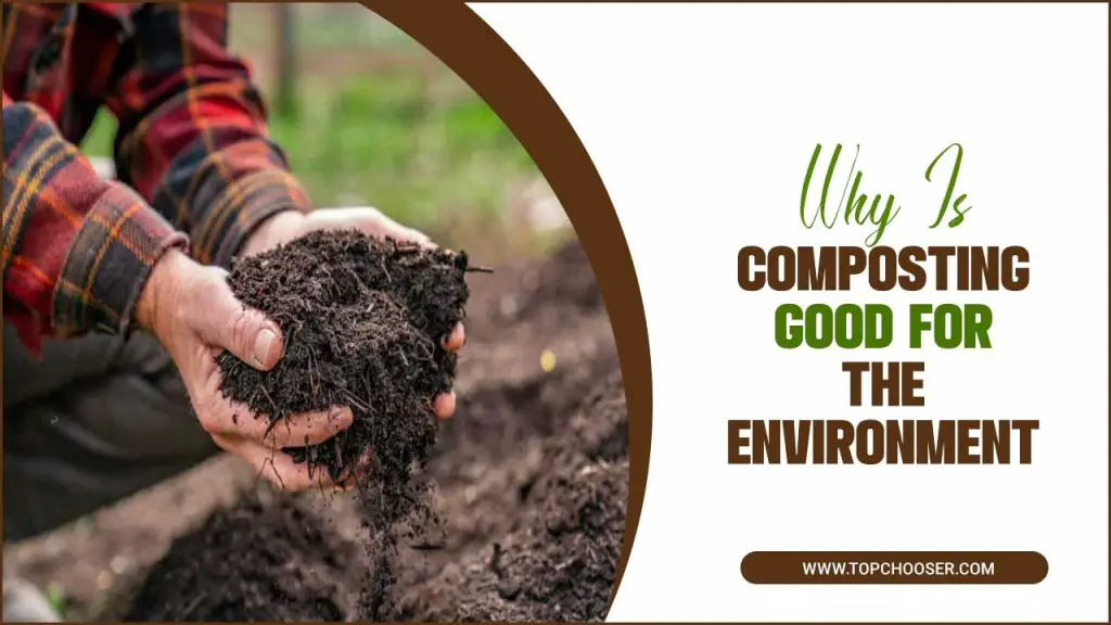 Why Is Composting Good For The Environment
