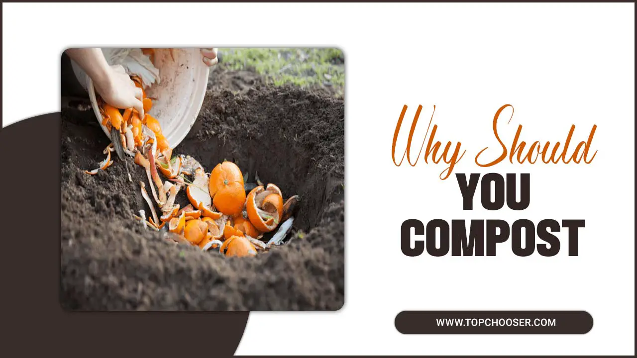 Why Should You Compost