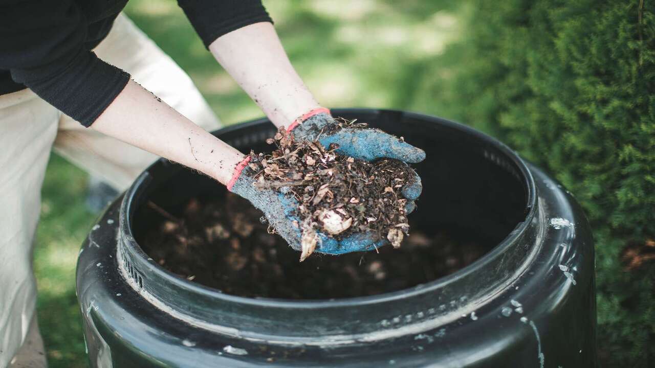 Benefits Of Using A Compost Bin