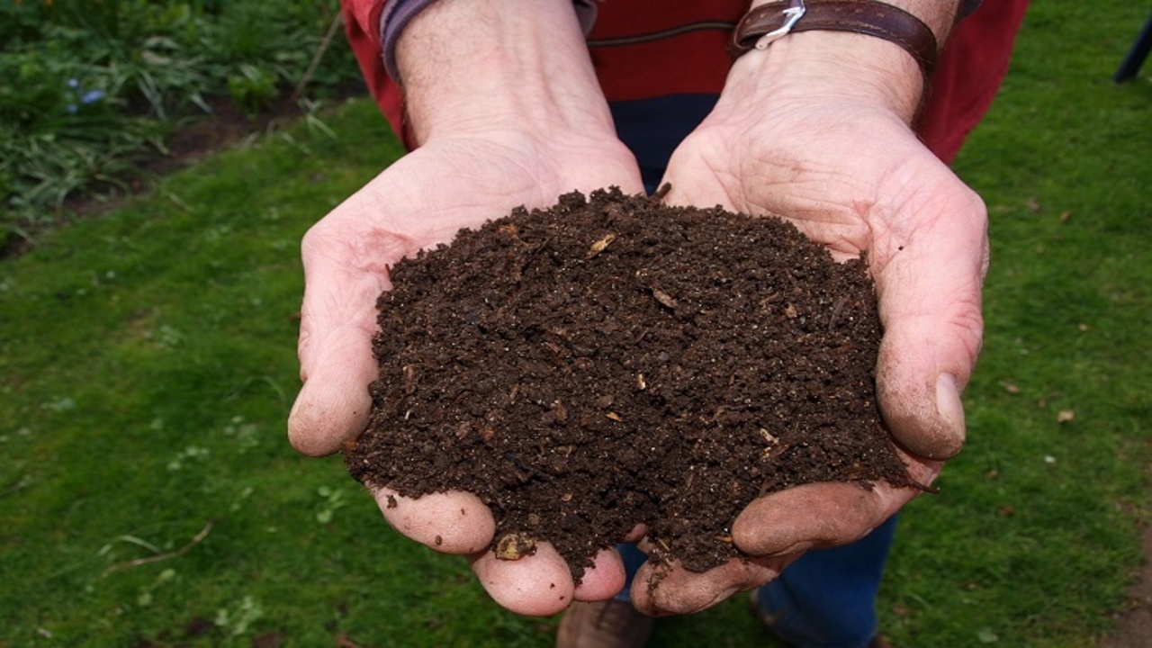 What Is Compost Material Made Of