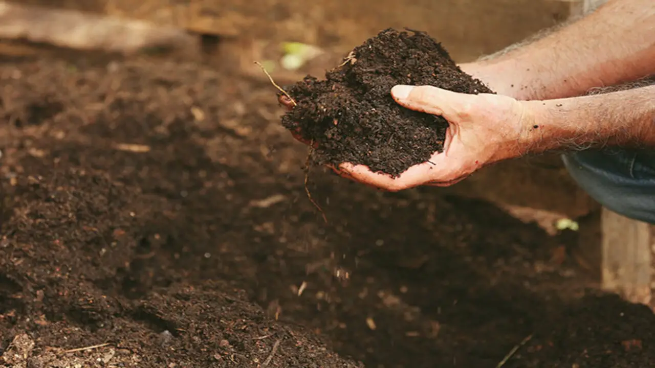 Easy Process Of Adding Compost To Soil Enhance Soil Quality