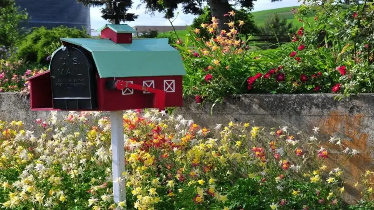 How To Create Your Own Clematis Mailbox At Your Garden