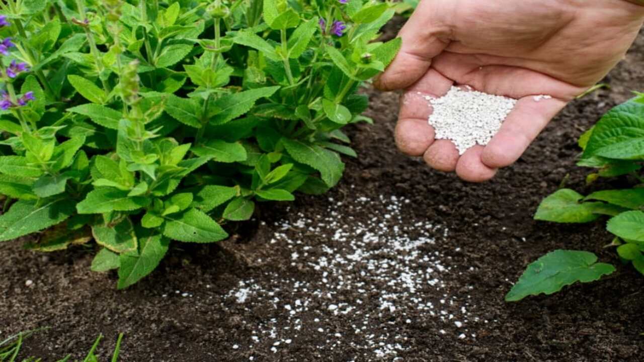 Is It Safe To Use Miracle-Gro In Your Organic Garden