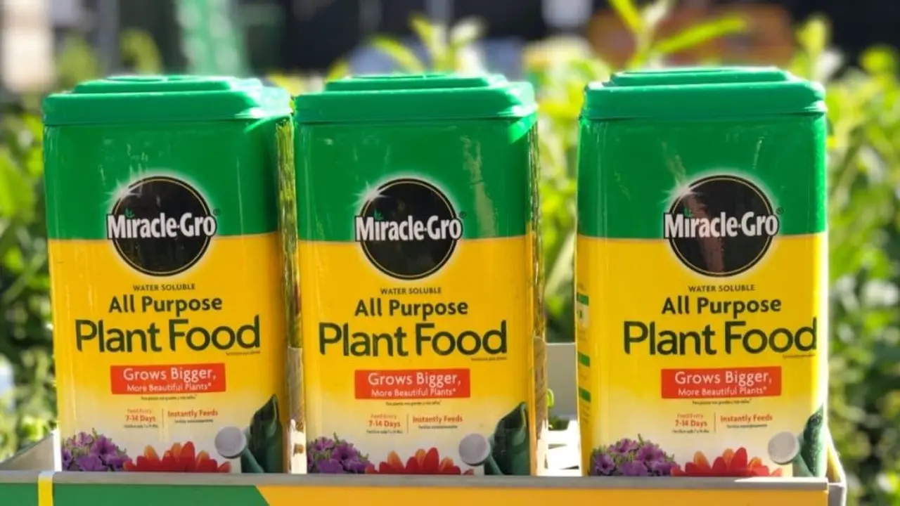 Is Miracle Gro Organic Unveiling The Truth