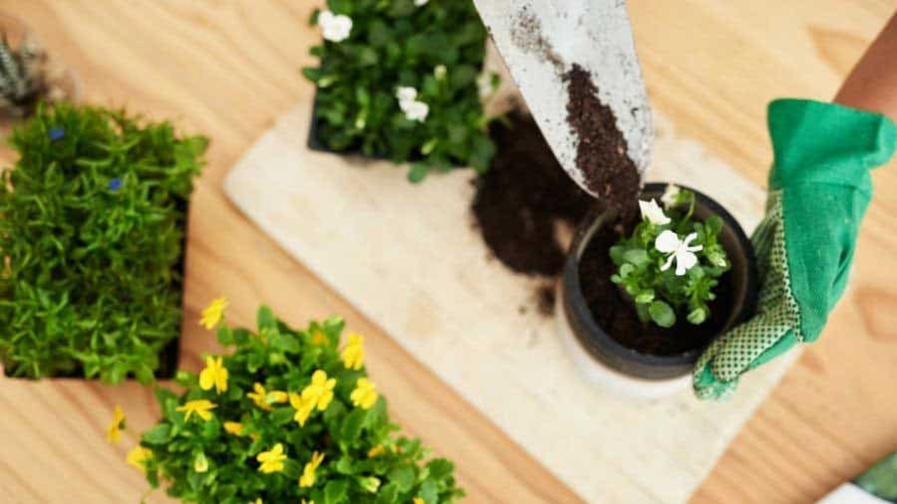Monitoring And Maintaining Your Garden