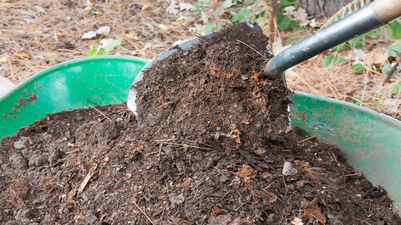 The Benefits Of Using Compost In Your Garden