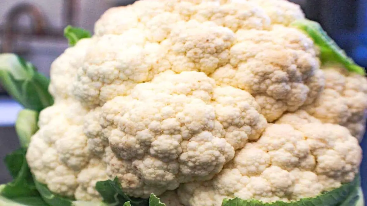 The Impact Of Cutting Tools On Cauliflower Browning