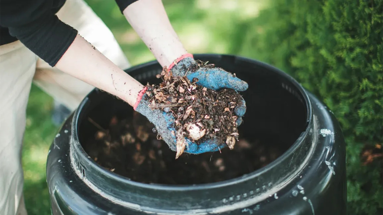 What Is Compost