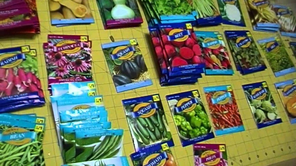 Dollar General Grass Seed Ultimate Guide