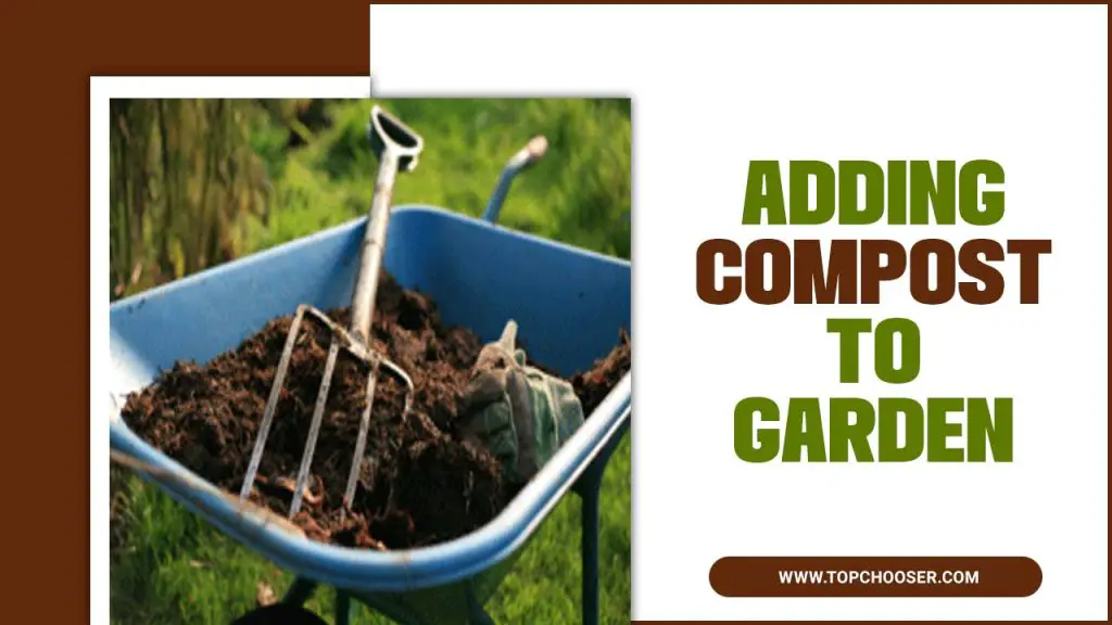 Adding Compost To Garden