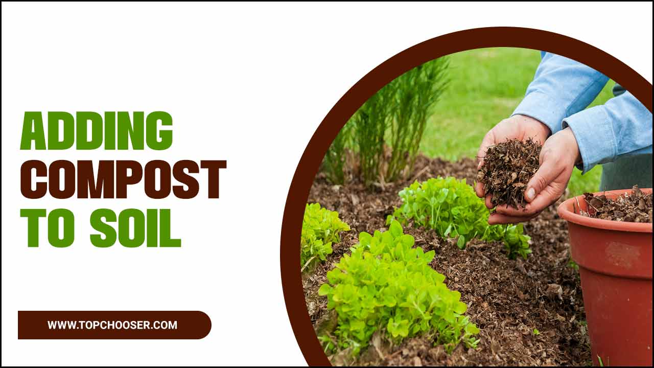 Adding Compost To Soil