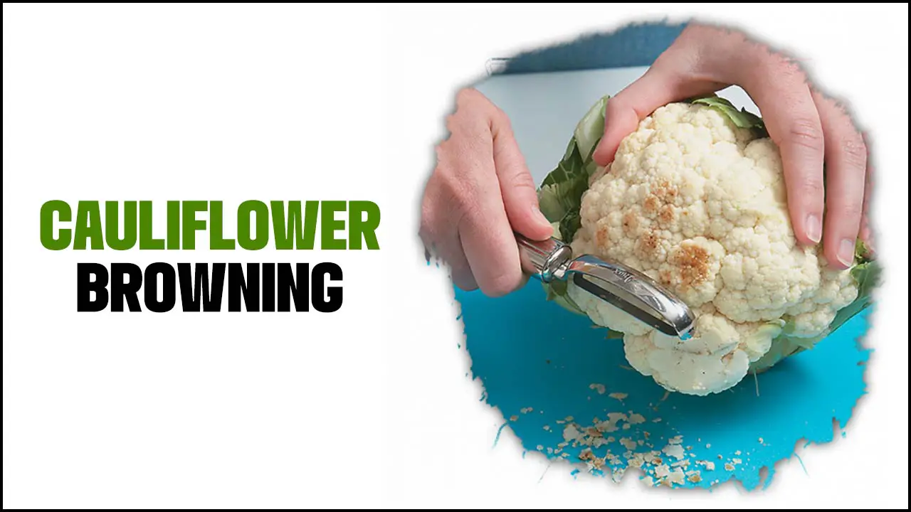 Cauliflower Browning