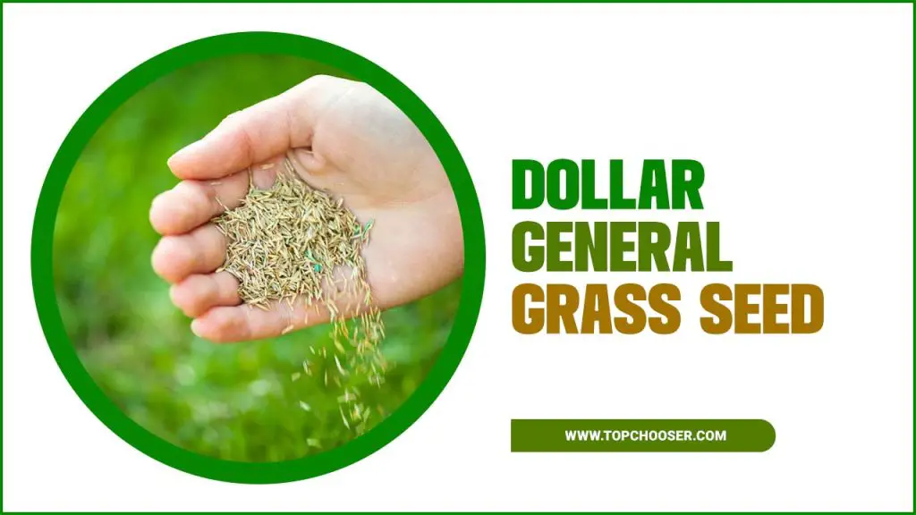 Dollar General Grass Seed