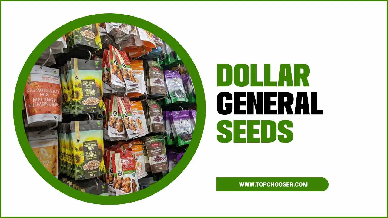  Dollar General Seeds