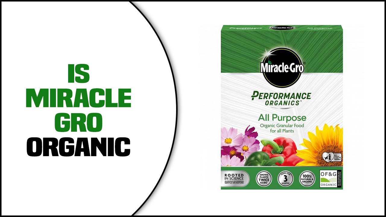 Is Miracle Gro Organic