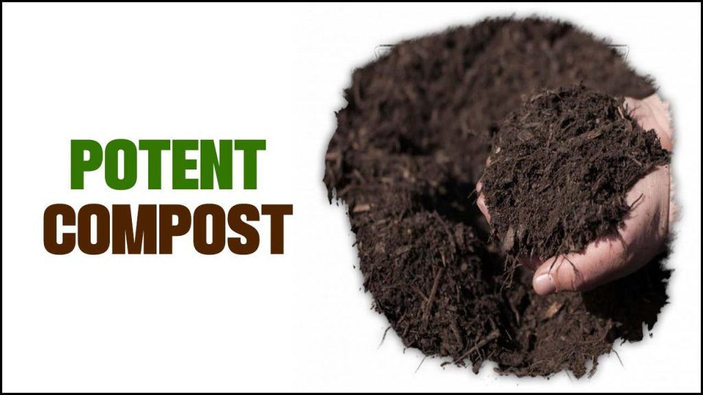 Potent Compost