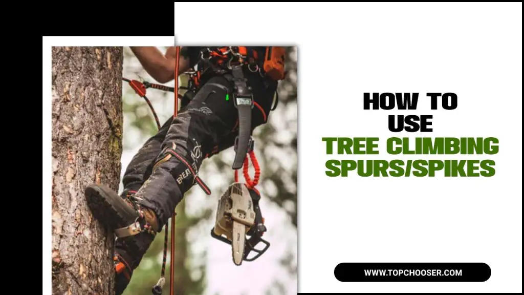 How to use tree climbing spurs-spikes