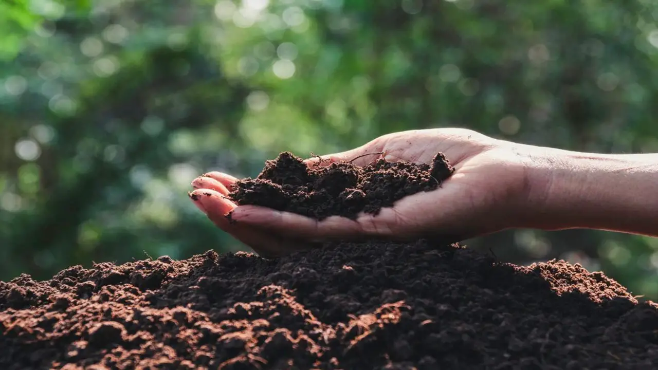 The Importance Of Organic Composting