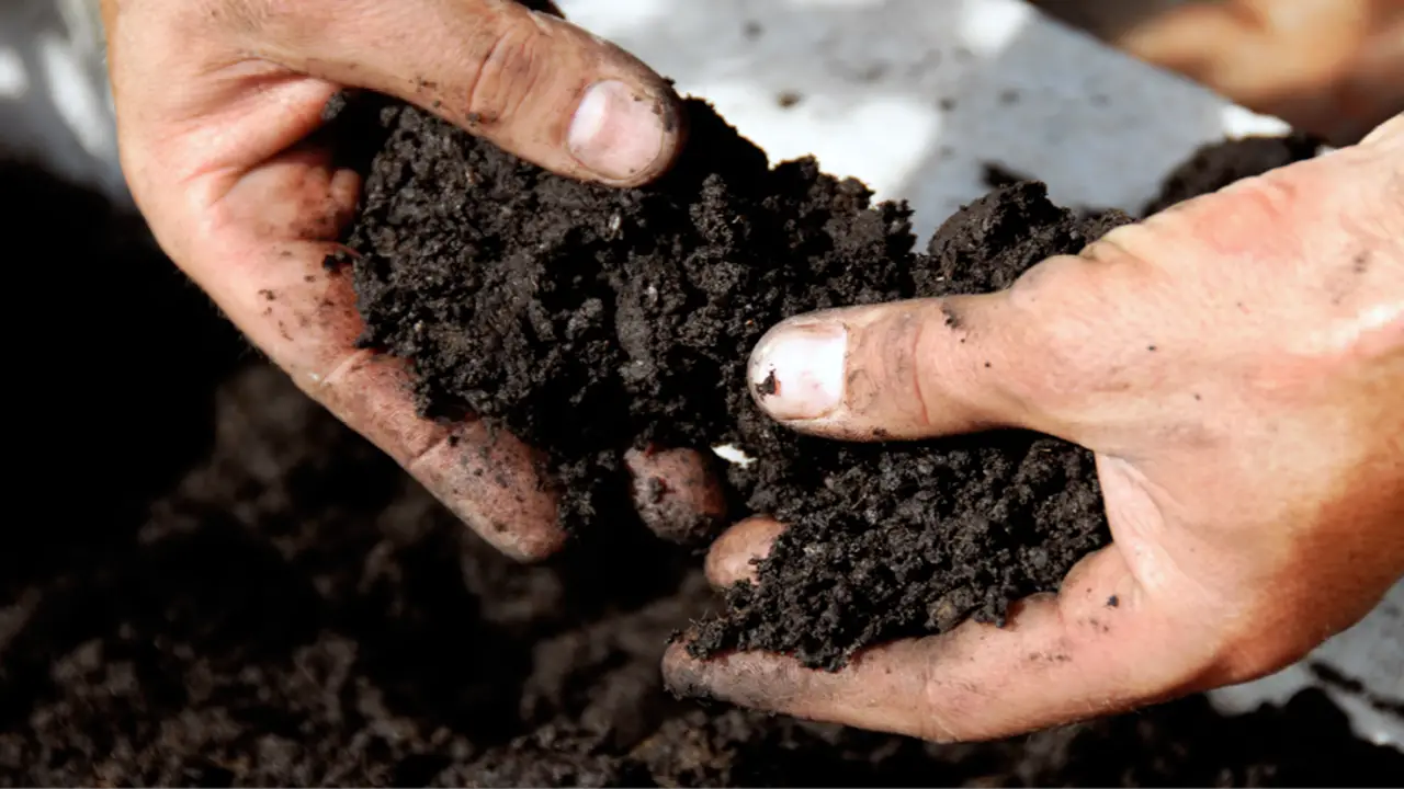 Understanding Omri Compost