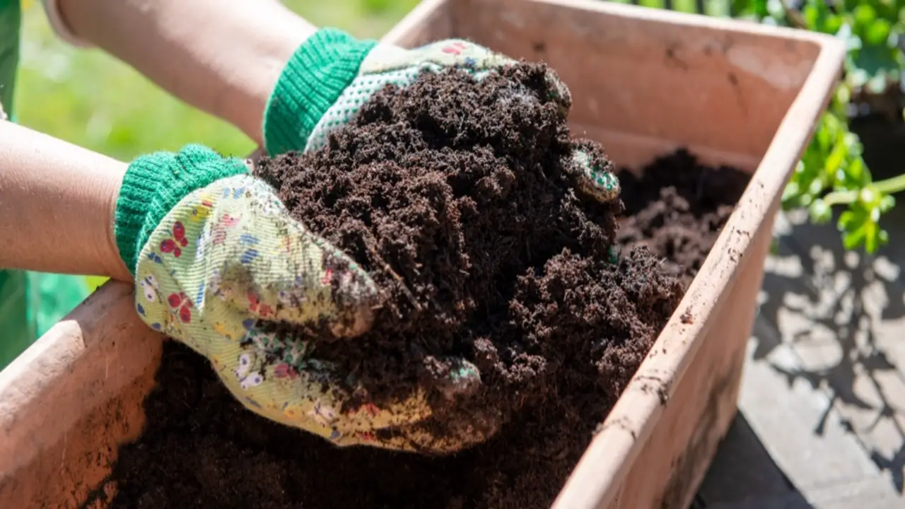 What Makes OMRI-Compost Different From Other Types Of Compost