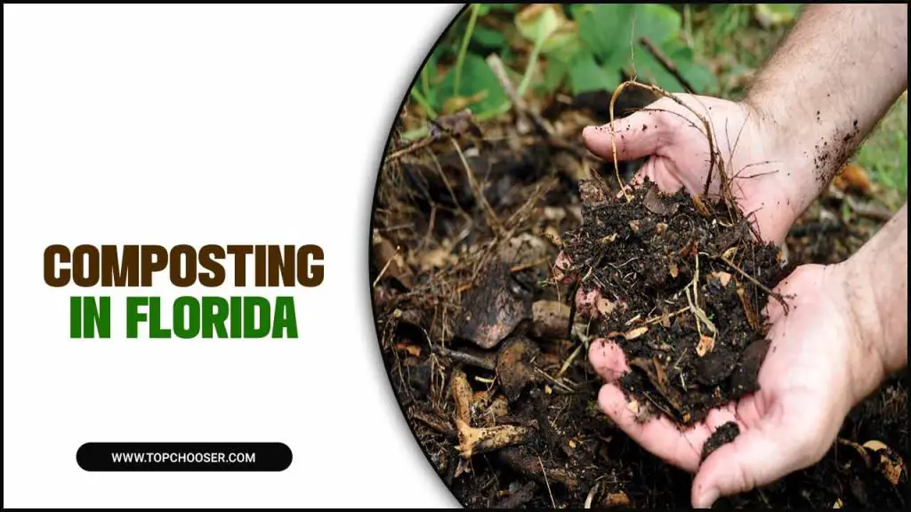 Composting In Florida
