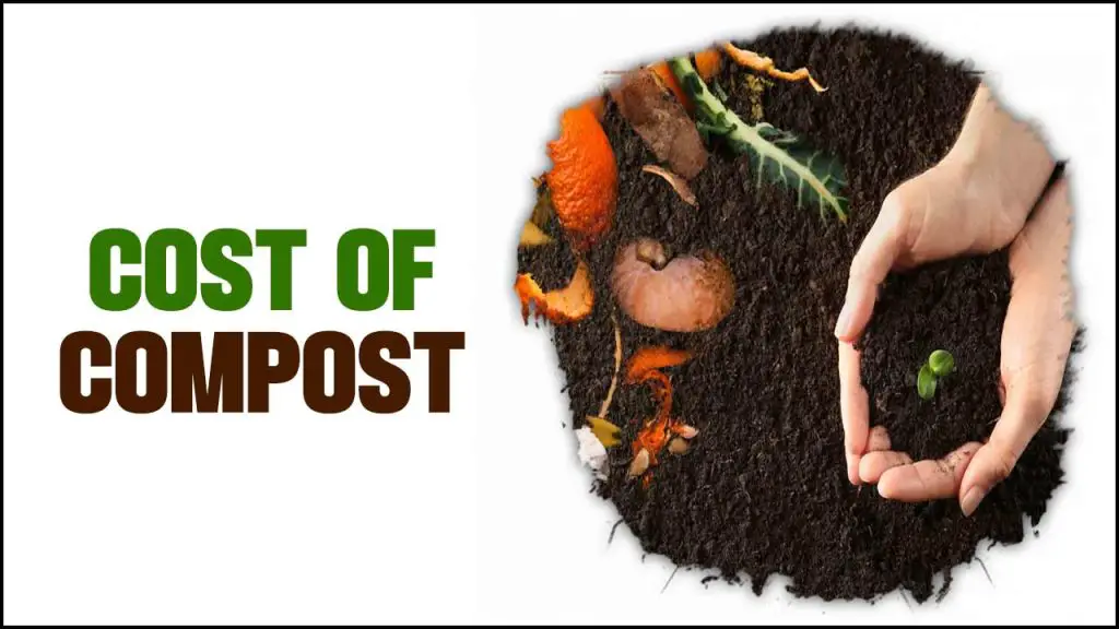 Cost Of Compost