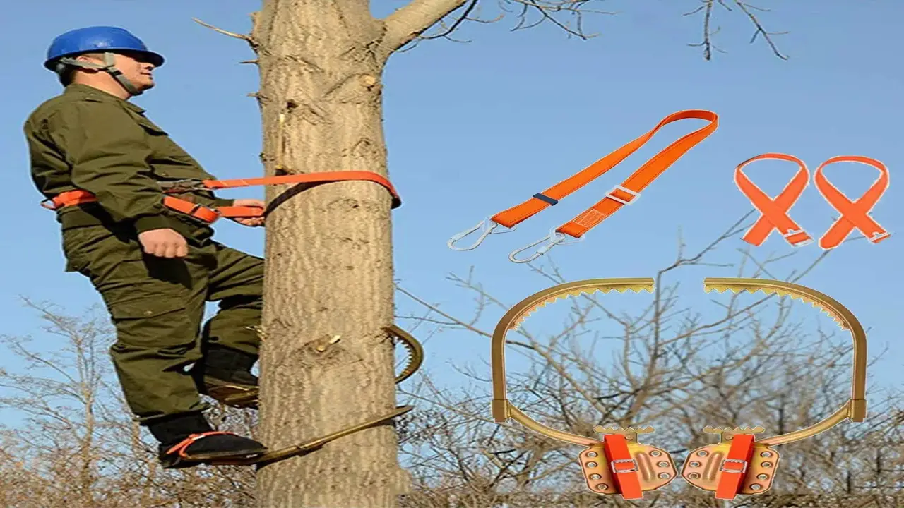5 Best Tree Climbing Spikes - For Best Safety