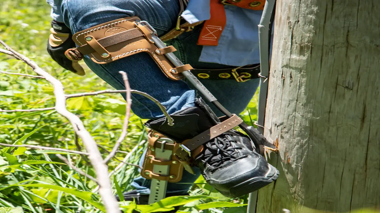 Klein Tools Tree Climber Set With Pole Climbers