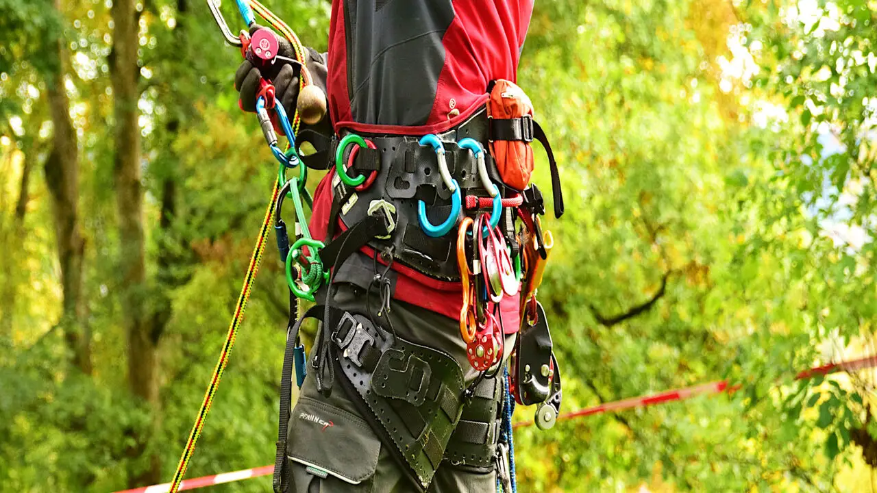 Wearing The Harness While Climbing