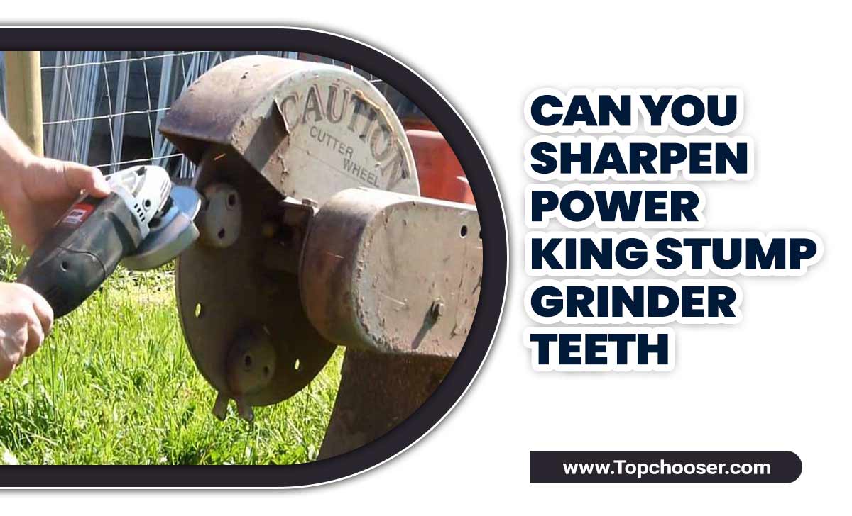 Can You Sharpen Power King Stump Grinder Teeth