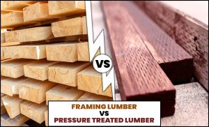 Framing Lumber Vs Pressure Treated Lumber