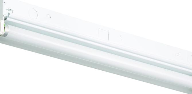 a common inductor found in fluorescent light fixtures is a