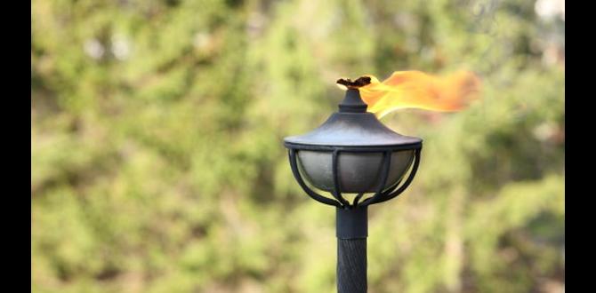 alternative fuel for tiki torches alternative fuel for tiki torches
