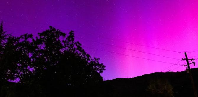 are the northern lights solar flares