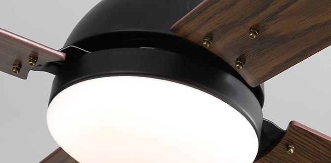 ceiling fan with light and remote for bedroom ceiling fan with light and remote for bedroom