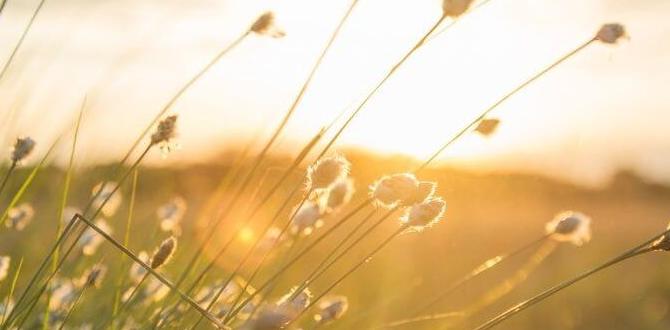 how bright is 10 lumens solar light