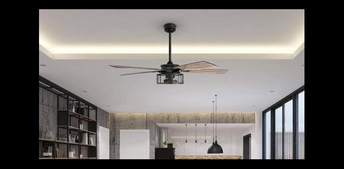how much does a ceiling fan cost to run how much does a ceiling fan cost to run
