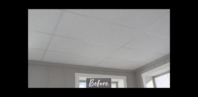 how to cut ceiling tiles for lights how to cut ceiling tiles for lights