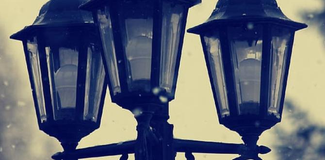 is it illegal to turn off a street light is it illegal to turn off a street light