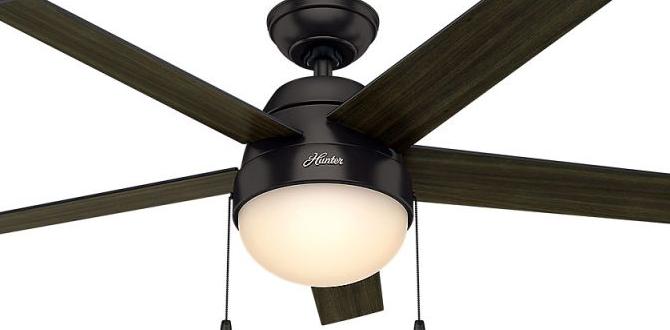 replacement light fixture for hunter ceiling fan replacement light fixture for hunter ceiling fan