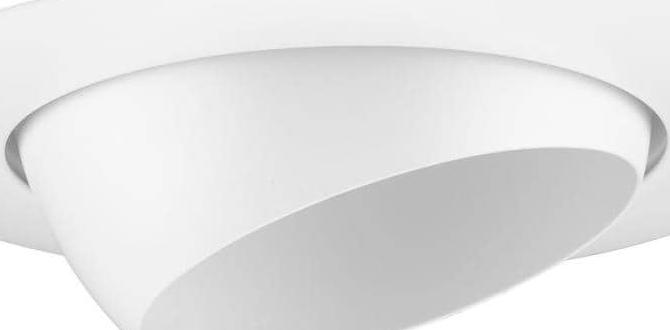 replacement trim for recessed lighting
